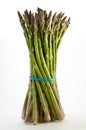 Fresh Asparagus