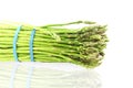 Fresh asparagus bunch in pure white background