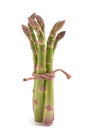 Fresh asparagus bunch tied Royalty Free Stock Photo