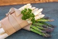 Fresh asparagus bunched with parsley Royalty Free Stock Photo