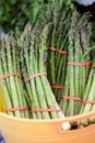 Bunches of Fresh Asparagus