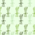 Fresh asparagus bunches seamless pattern, vector illustration. Royalty Free Stock Photo