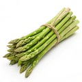 Fresh asparagus bundle Royalty Free Stock Photo