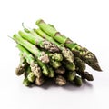 Fresh Asparagus Bundle on white back ground Royalty Free Stock Photo