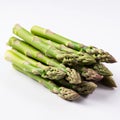Fresh Asparagus Bundle on white back ground Royalty Free Stock Photo