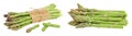fresh asparagus isolated on white background Royalty Free Stock Photo