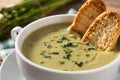 Fresh asparagus soup in bowl Royalty Free Stock Photo