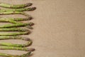 Fresh Asparges lying on a sackcloth surface Royalty Free Stock Photo