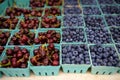 Fresh assorted berries at farmers market. Cherries and blueberries Royalty Free Stock Photo