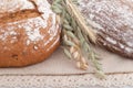 Fresh assorted breads with ears on the table Royalty Free Stock Photo