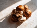 Fresh assorted mushrooms arranged on a light surface with natural shadows and textures Royalty Free Stock Photo