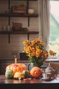 Fresh assorted pumpkins and squash on the table at country house Royalty Free Stock Photo
