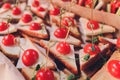 Fresh Assorted snacks of canape on the table. Royalty Free Stock Photo