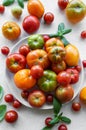 Fresh assorted tomatoes arranged on a white plate with green basil leaves in a bright kitchen setting Royalty Free Stock Photo