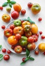 Fresh assorted tomatoes arranged on a white plate with green basil leaves in a bright kitchen setting Royalty Free Stock Photo