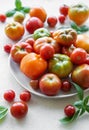 Fresh assorted tomatoes arranged on a white plate with green basil leaves in a bright kitchen setting Royalty Free Stock Photo