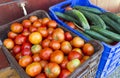 Fresh assorted vegetables in a plastic crate