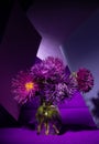 Fresh asters on an abstract background of purple shades Royalty Free Stock Photo