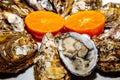 Fresh Atlantic oysters from the southern coast of Brazil, with ripe clove lemon.