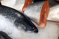 Fresh atlantic salmon on the supermarket counter