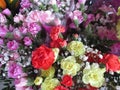 Fresh attractive colorful bouquet of carnation flowers on display