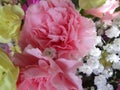 Fresh and attractive mixed bouquet flowers from the florist Royalty Free Stock Photo