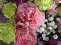 Fresh and attractive mixed bouquet flowers from the florist Royalty Free Stock Photo