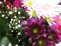 Fresh and attractive mixed bouquet flowers from the florist Royalty Free Stock Photo