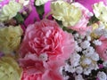 Fresh and attractive mixed carnation bouquet flowers from the florist Royalty Free Stock Photo