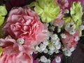 Fresh and attractive mixed carnation bouquet flowers from the florist Royalty Free Stock Photo