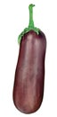 Fresh aubergine