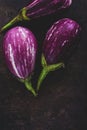 Fresh Eggplants on Dark Background Royalty Free Stock Photo