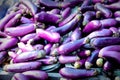 Fresh aubergines (eggplant) Royalty Free Stock Photo