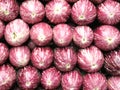 Fresh aubergines at market stall Royalty Free Stock Photo