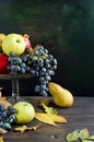 Fresh autumn fruits - pomegranate, pears, grapes and apples Royalty Free Stock Photo