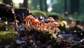 Fresh autumn growth, a small yellow toadstool in nature generated by AI