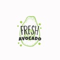 Fresh Avocado Badge, Label or Logo Template. Hand Drawn Fruit Sketch with Playful Typography. Premium Food Emblem