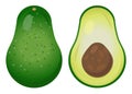 Fresh Avocado Illustration. Delicious Avocado. Sliced Avocado. Inside Of An Avocado