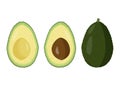 Fresh avocado vector illutration. Raw fruit cutted and whole one. Royalty Free Stock Photo