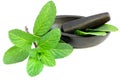 Fresh ayurvedic mint leaves with vintage mortar