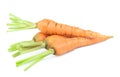 Fresh baby carrot isolated on white background with clipping path Royalty Free Stock Photo