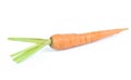 Fresh baby carrot isolated on white background with clipping path Royalty Free Stock Photo