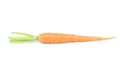 Fresh baby carrot isolated on white background with clipping path Royalty Free Stock Photo