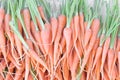 Fresh baby carrots bunch on sell