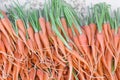 Fresh baby carrots bunch on sell
