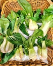 Fresh Baby Chinese Pak Choi cabbage in a wicker basket close up in Stockmann shopping mall, Riga.