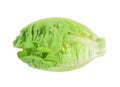 Fresh baby cos lettuce on white background Royalty Free Stock Photo