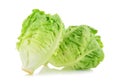 Fresh baby cos lettuce on white background Royalty Free Stock Photo