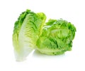 Fresh baby cos (lettuce)