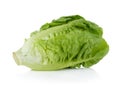 Fresh baby cos (lettuce) on white background Royalty Free Stock Photo